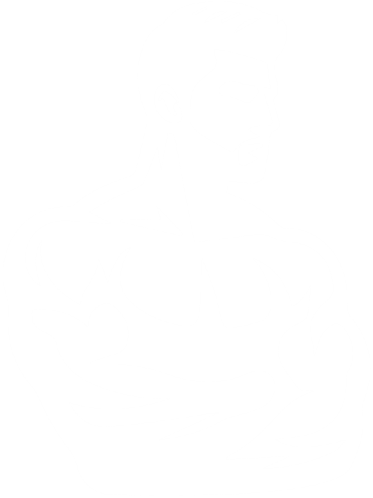assets/img/4.png